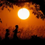 La esperanza de vida en EU alcanzó su máximo histórico en 2024